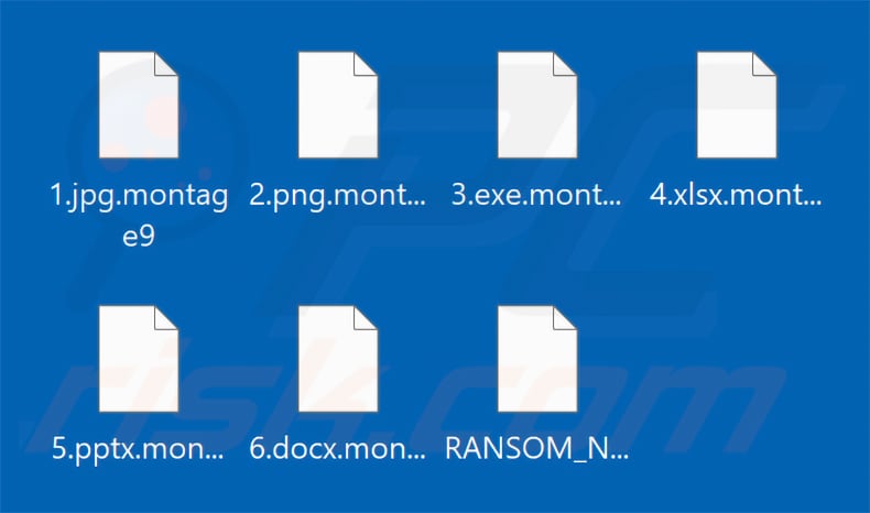 Files encrypted by Montage ransomware (.montage9 extension)