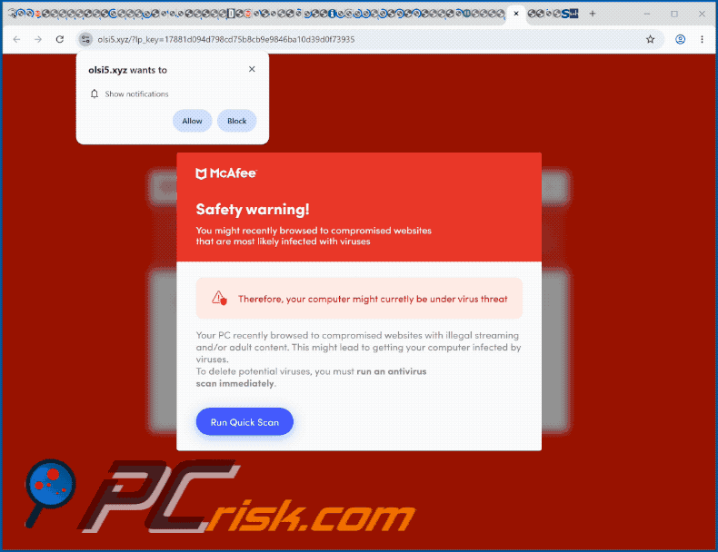 olsi5[.]xyz website appearance (GIF)