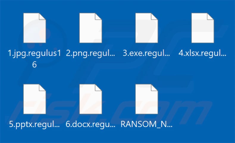 Files encrypted by Regulus ransomware (.regulus16 extension)