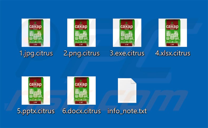 Files encrypted by Citrus ransomware (.citrus extension)
