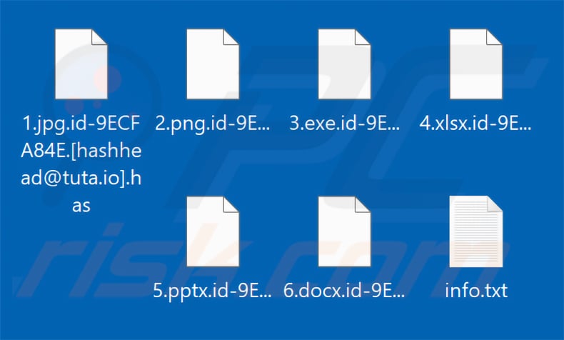 Files encrypted by Has ransomware (.has extension)