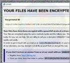 Restore@protonmail.ch Ransomware