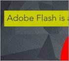 Why Adobe Flash is a Security Risk and Why Media Companies Still Use it