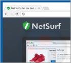 Net Surf Adware