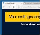 Microsoft Ignoring Security Vulnerabilities