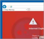 Internet Explorer Critical ERROR Scam