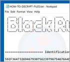BlackRuby2 Ransomware