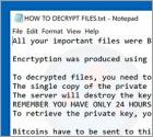PAY_IN_MAXIM_24_HOURS Ransomware