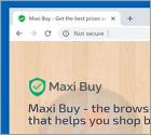 Maxi Buy Browser Hijacker