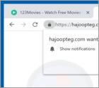 Hajoopteg.com POP-UP Redirect