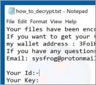 Sysfrog Ransomware