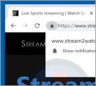 Stream2watch Suspicious Website
