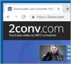 2conv.com Suspicious Website