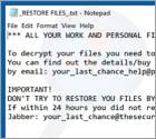 YOUR_LAST_CHANCE Ransomware