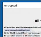 Acton Ransomware