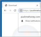 Pushmehoney.com Ads