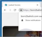 Born2bahick.com Ads