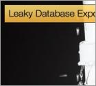 Leaky Database Exposes the Data of 20 Million Russian Nationals