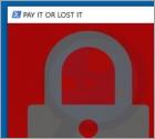 PAY IT OR LOST IT Ransomware