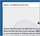 ONE Ransomware