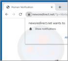 Newsredirect.net Ads