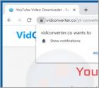 Vidconverter.co Ads