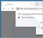 New-incoming.email Ads