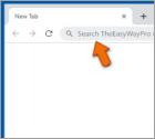 TheEasyWayPro Browser Hijacker