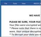 BDDY Ransomware