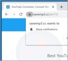 Savemp3.cc Suspicious Website