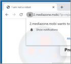 Mediazone.mobi Ads