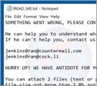 Jenkins Ransomware
