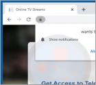 Online TV Streams Browser Hijacker