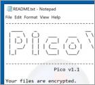 Picocode Ransomware