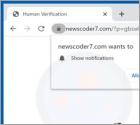 Newscoder7.com Ads