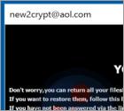 2NEW Ransomware