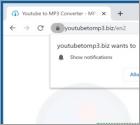 Youtubetomp3.biz Suspicious Website