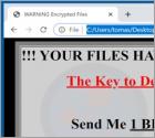 R44s Ransomware