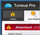 Tuneup Pro Unwanted Application