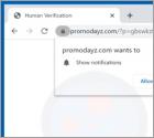 Promodayz.com Ads
