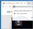 Merritorsolin.club Ads