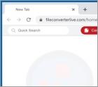 File Converter Live Browser Hijacker