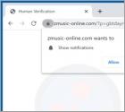 Zmusic-online.com Ads
