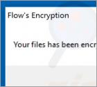 FlowEncryption Ransomware