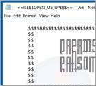 Paradise 4.3.3.0.1 Ransomware