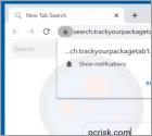 Track Your Package Now Browser Hijacker