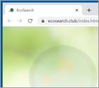 Eco Search Browser Hijacker