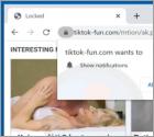 Tiktok-fun.com Ads