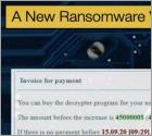 A New Ransomware Variant and a New Victim