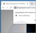 Wepushpush.com Ads